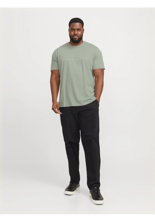 Ανδρικό T-Shirt Plus Size Jack & Jones JJEstar JJ Tee SS Noos PLS 12243525 Iceberg Green