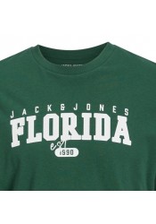 Ανδρικό T-Shirt Jack & Jones JJCory Tee SS Crew Neck 12247773 Πράσινο