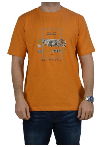 Aνδρικό T-Shirt HAMAKI-HO TE213H Πορτοκαλί