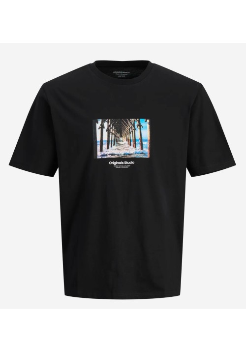 Ανδρικό T-Shirt Jack & Jones Jorveserbro Picture Tee SS Crew Neck SN 12250421Black