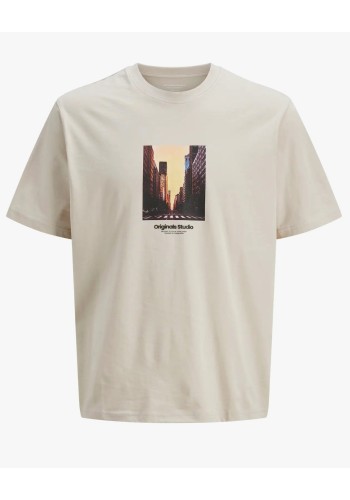 Ανδρικό T-Shirt Jack & Jones Jorveserbro Picture Tee SS Crew Neck SN 12250421Moonbeam