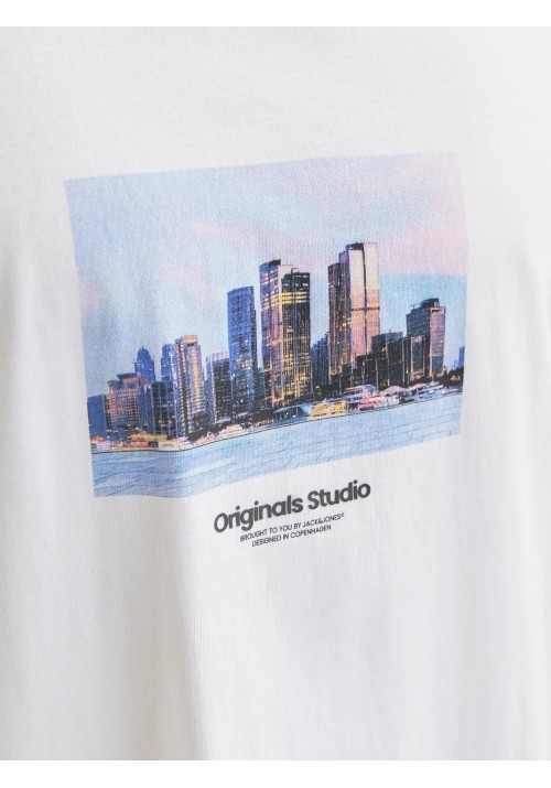 Ανδρικό T-Shirt Jack & Jones Jorveserbro Picture Tee SS Crew Neck SN 12250421Λευκό
