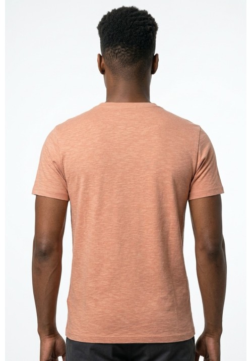 Ανδρικό T-Shirt Petrol M-1060-TSV638-3174  Ροζ