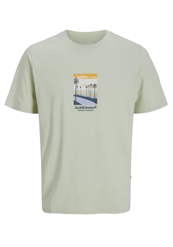 Ανδρικό T-Shirt Jack & Jones Jorsplit Graphic Front Tee SS Crew Neck 12273000 Celadon Tint