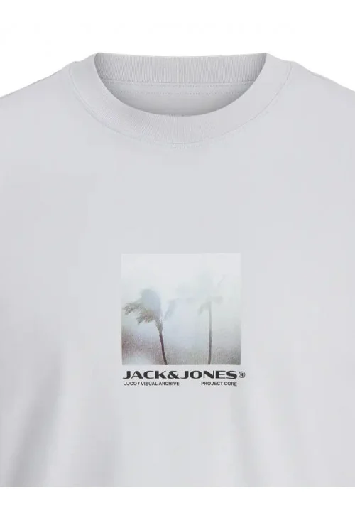 Ανδρικό T-Shirt Jack & Jones JCocalma Photo Tee SS 12281087 Gray Dawn