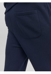 Παντελόνι Φόρμας Jack & Jones JPSTGordon Bradley Sweat Pant Noos 12249274 Μπλε