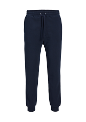 Παντελόνι Φόρμας Jack & Jones JPSTGordon Bradley Sweat Pant Noos 12249274 Μπλε