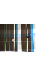 Ανδρικό Πουκάμισο Boston 602-1 Γαλάζιο