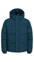 Ανδρικό Μπουφάν Puffer Jack & Jones JJEBradley Puffer Hood SN 12256974 Magical Forest
